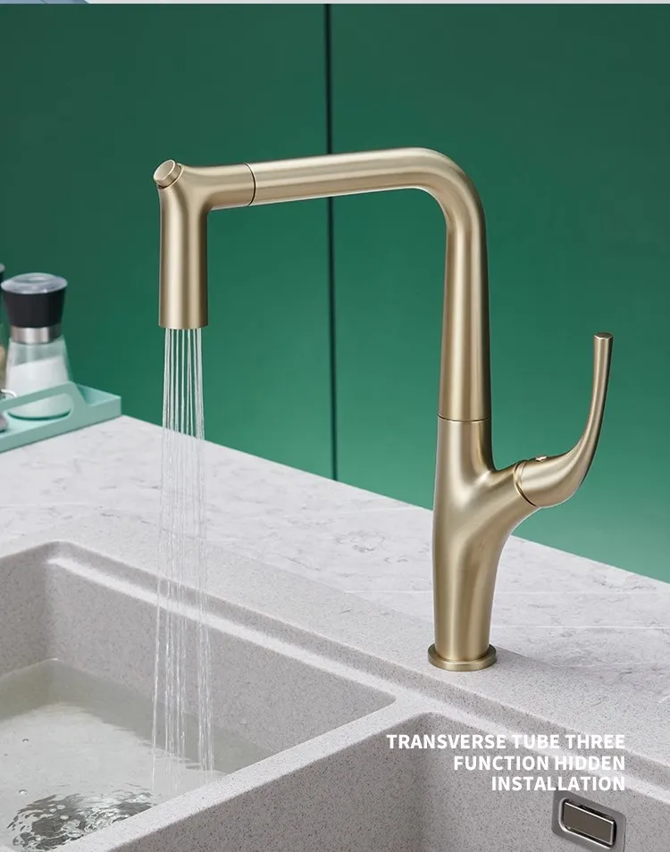 Pull Out Water Filter Tap Bras - đánh giá và giá Commercial Kitchen Mixer Tap